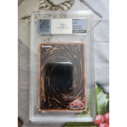 Dark Magician LGB1-KRS01 Premium Gold Rare MTG 8.5