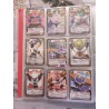 Série Dragon Ball Z Card Game D-1 à D-134. Très rare de 1986-1989