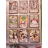 Dragon Ball Z Card Game Series D-1 to D-134. Very rare from 1986-1989
