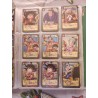 Série Dragon Ball Z Card Game D-1 à D-134. Très rare de 1986-1989