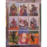 Série Dragon Ball Panini 41 cartes