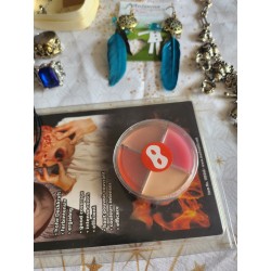 Pirate makeup, jewelry and accessories set