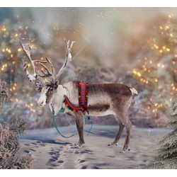 Digital montage background with photos