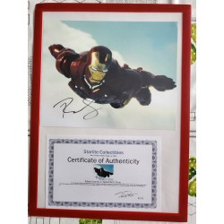 Autographed Robert Downey Jr. Iron Man with COA