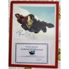Autographed Robert Downey Jr. Iron Man with COA