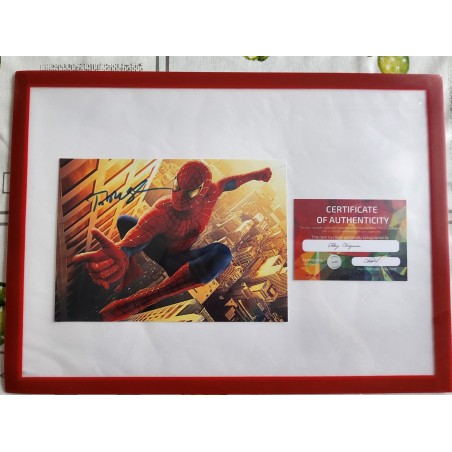 Autographed Tobey Maguire Spider-Man photo