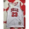 Framed 23 Michael Jordan White Mitchell & Ness Jersey