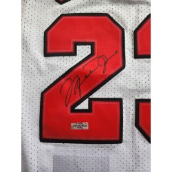 Framed 23 Michael Jordan White Mitchell & Ness Jersey