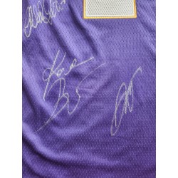 Framed Lakers 24 Mitchell & Ness Blue Yellow NBA Jersey, Size XL, 2008-09, Kobe Bryant