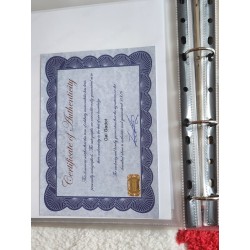 Gal Gadot Wonder Woman Autographed Photo with Certificate of Authenticity