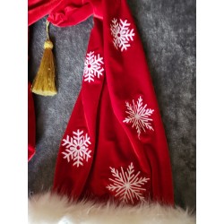 Elf costume or Mrs. Claus