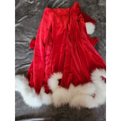 Elf costume or Mrs. Claus