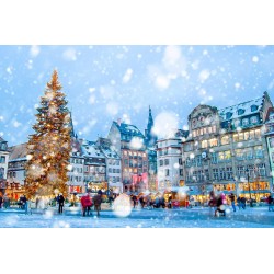 Christmas Market Adventure